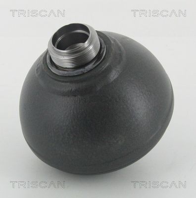 TRISCAN 8760 38304: Acumulator presiune, suspensie