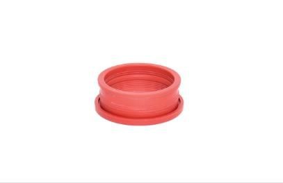 BUGIAD 87629: Furtun aer supraalimentare