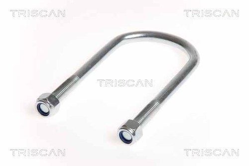 TRISCAN 8765 100011: Spona listovej prużiny