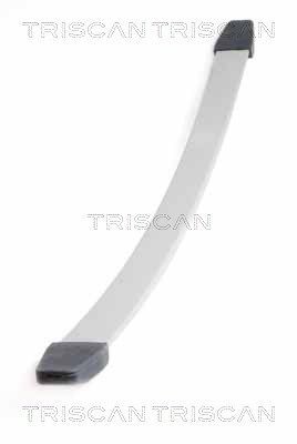 TRISCAN 8765 10003: Foi de arc punte fata