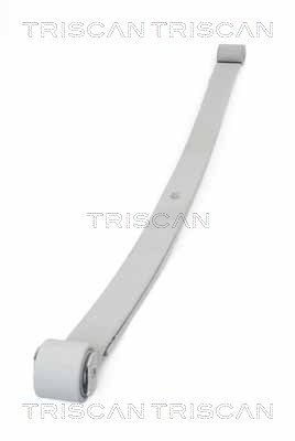 TRISCAN 8765 10006: Foi de arc puntea spate