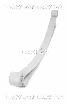 TRISCAN 8765 23026: Foi de arc puntea spate