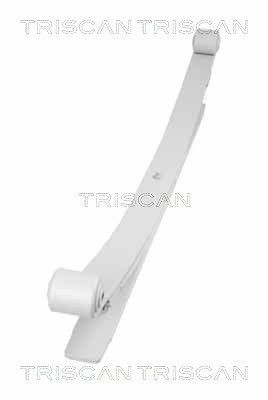 TRISCAN 8765 23027: Foi de arc puntea spate