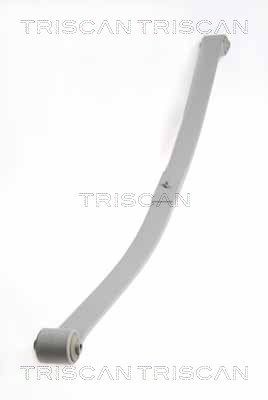 TRISCAN 8765 29019: Foi de arc puntea spate