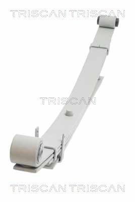 TRISCAN 8765 43004: Foi de arc puntea spate