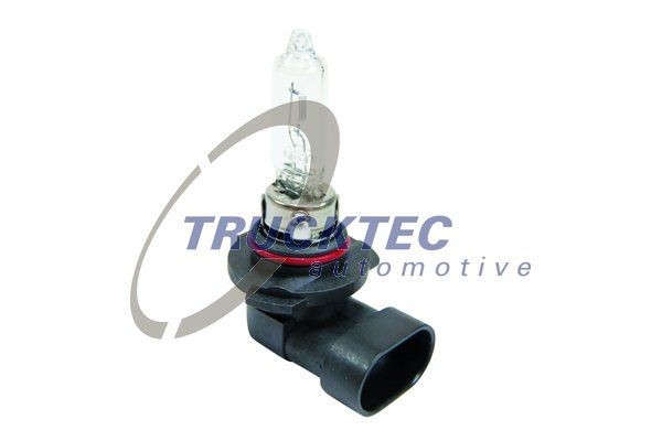 TRUCKTEC AUTOMOTIVE 88.58.113 Abblendlicht-Glühlampe