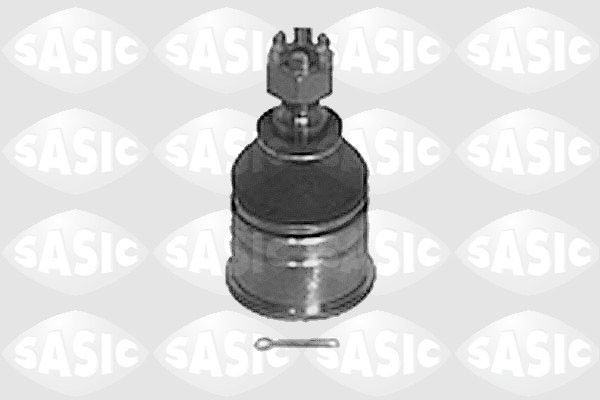 SASIC 9005407: Kande- / juhtliigend Esisild