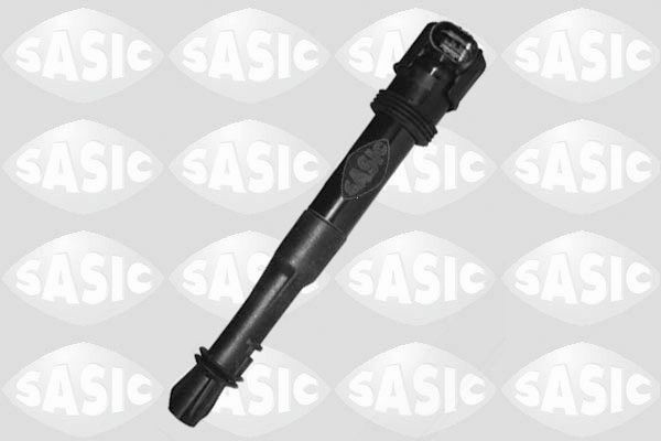 SASIC 9206017: Süütepool