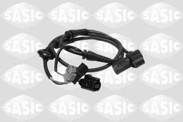 SASIC 9236021: Andur, rattapöörete arv Esisild