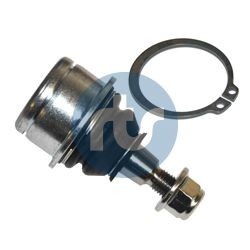 RTS 93-02806-015: Kande- / juhtliigend esisild mõlemapoolselt, all