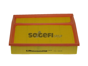 TECNOCAR A276: Gaisa filtrs