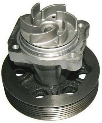 DENCKERMANN A310509P: Vandens siurblys