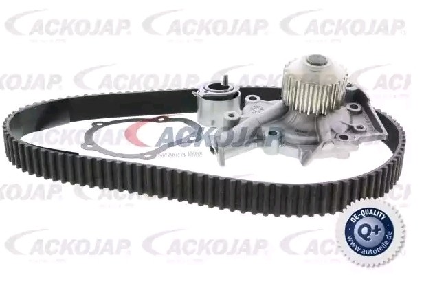 ACKOJA A51-0202W: Pompă apă + kit distribuție EXPERT KITS + cu pompa apa