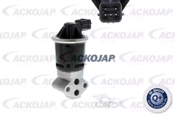 ACKOJA A51-63-0002: Βαλβίδα AGR Q+, original equipment manufacturer quality με τσιμούχα