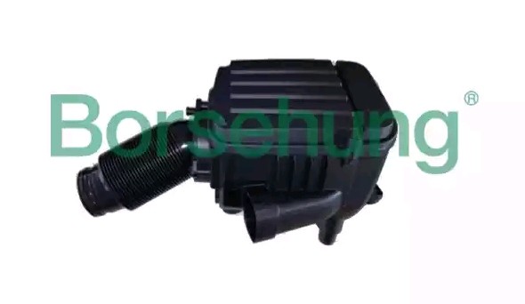 Borsehung B12803: Gaisa filtrs