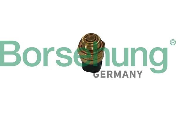 Borsehung B13130: Comutator temperatura, ventilator radiator
