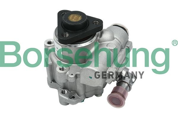 Borsehung B13209: Roolivõimu pump