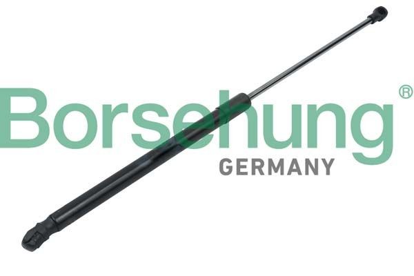 Borsehung B14191: Gaasivedru, pagasi- / veoruum kahepoolne, 500mm