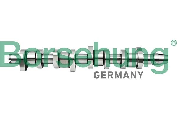 Borsehung B17861: Ax cu came