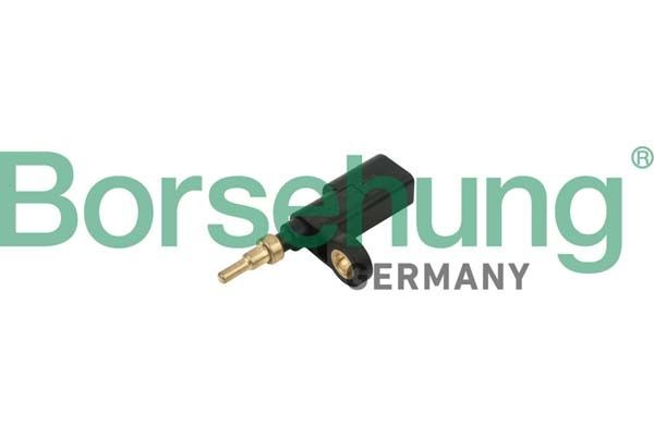 Borsehung B18252: Senzor, temperatura lichid de racire cu inel etansare