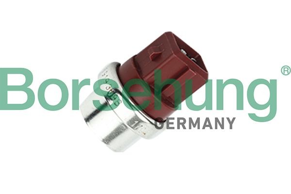 Borsehung B18289: Temperatuurilülitus, radiaatorivent.