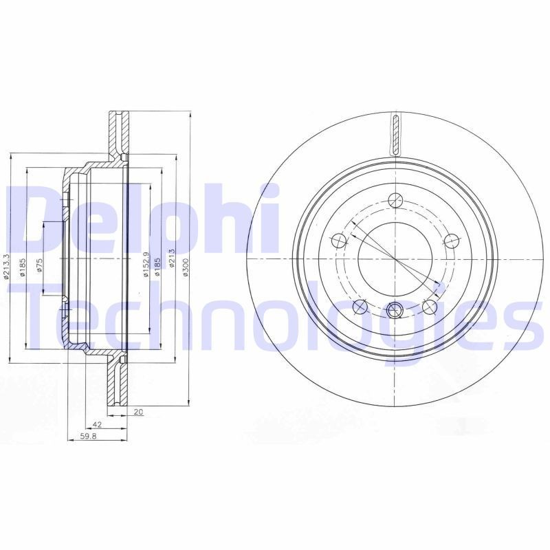 DELPHI BG4243C: Piduriketas Ø: 300mm, õhutusega, Ø: 300mm, kaetud