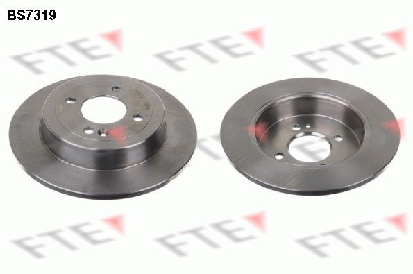 FTE BS7319: Piduriketas Ø: 262mm, täis, Ø: 262mm