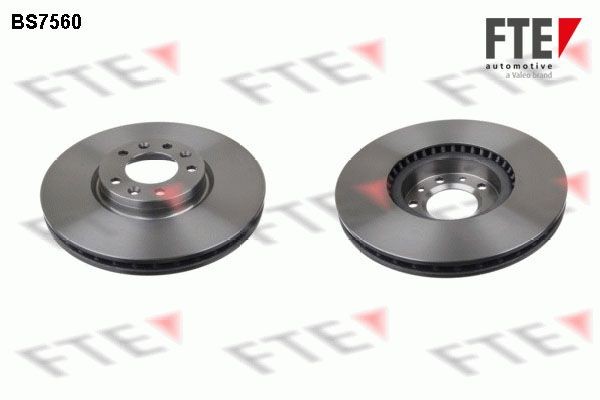 FTE BS7560: Piduriketas Ø: 304mm, sisemine õhutus, Ø: 304mm