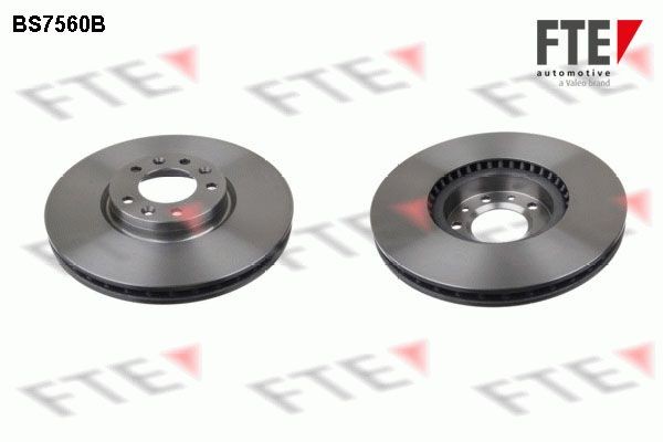 FTE BS7560B: Piduriketas Ø: 304mm, sisemine õhutus, Ø: 304mm, kaetud