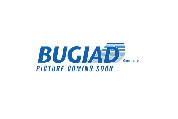 BUGIAD BSP24595: Õlifilter