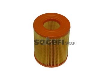 FRAM CA8789: Gaisa filtrs
