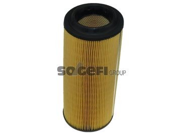 FRAM CA8900: Gaisa filtrs