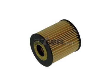 FRAM CH9348ECO: Filtru ulei
