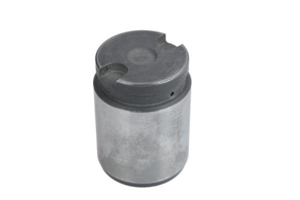LAUBER CQ71344711: Kolvid, pidurisadul Tagasild