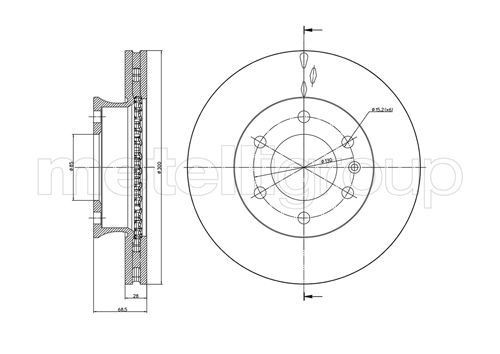 TRUSTING DF1046: Bromsskiva Ø: 300,0mm, ventilerad, Ø: 300,0mm, lackerad