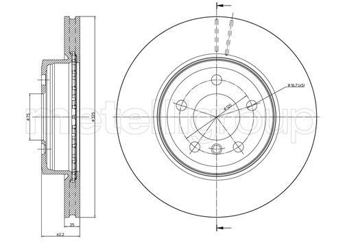 TRUSTING DF1077: Bromsskiva Ø: 325,0mm, ventilerad, Ø: 325,0mm, lackerad