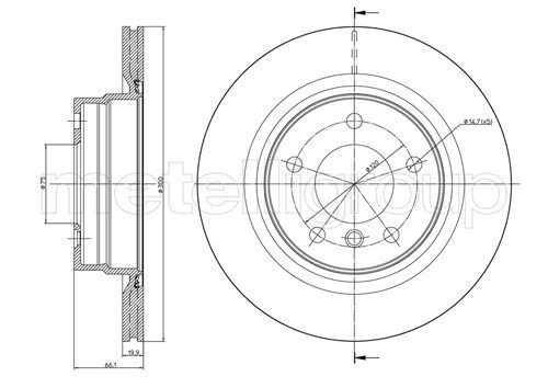 TRUSTING DF1095: Disc de frână Ř: 300,0mm, ventilat, Ř: 300,0mm, lacuit