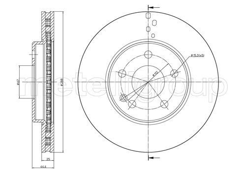 TRUSTING DF233: Bremžu diski Ø: 288mm, ventilējams, Ø: 288mm, lakots