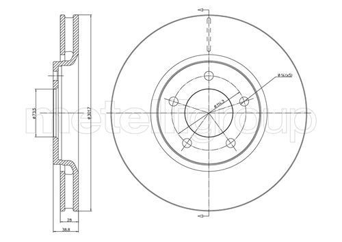 TRUSTING DF971: Bremžu diski Ø: 302,0mm, ventilējams, Ø: 302,0mm, lakots
