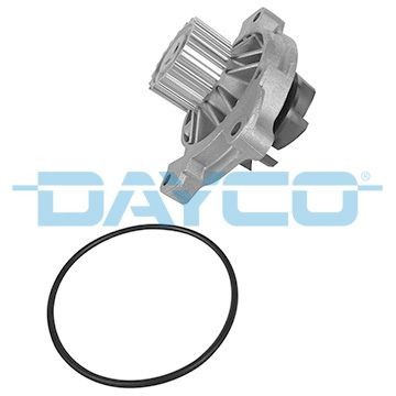 DAYCO DP162: Veepump