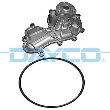 DAYCO DP400: Veepump