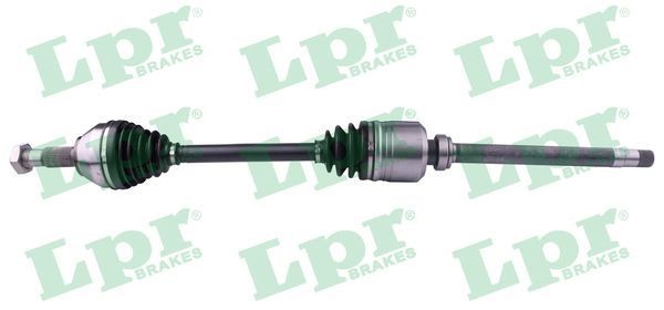 LPR DS21061: Pusašis 513mm