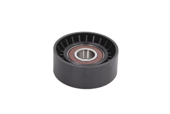 BTA E2B0060BTA: Intinzator, curea transmisie