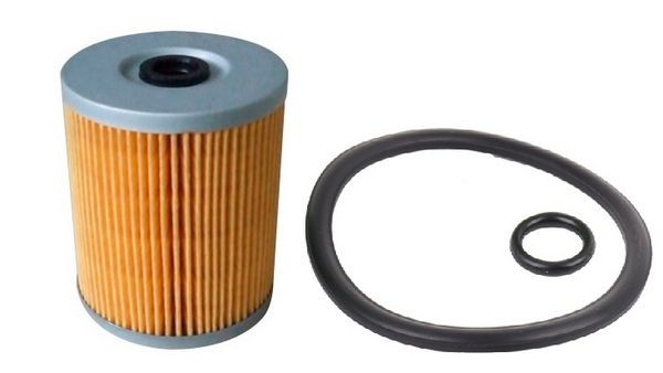JS ASAKASHI FE309J: Kütusefilter