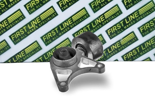 FIRST LINE FEM4066: Paigutus, Mootor