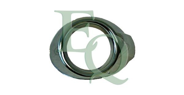 EQUAL QUALITY G0018: Griglia paraurti Dx, con foro/fori per fendinebbia