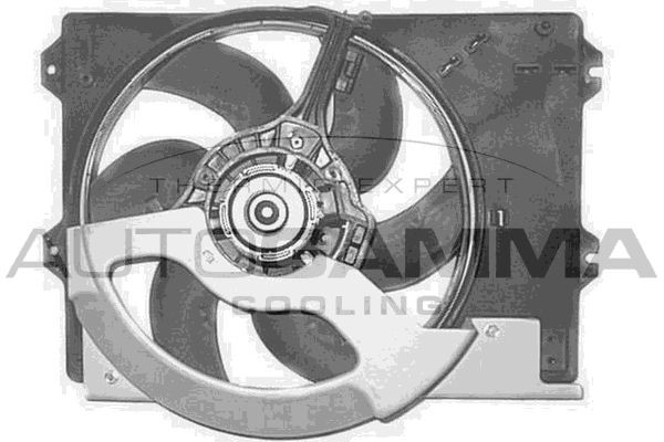 AUTOGAMMA GA201367: Ventilator, radiator