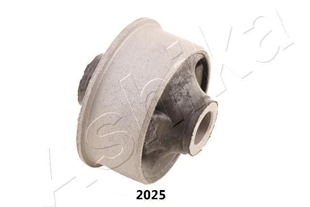 ASHIKA GOM-2025: Suport, bucsa brat