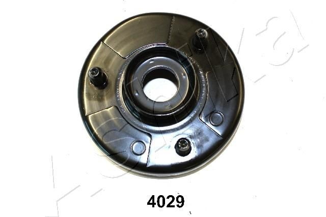 ASHIKA GOM-4029: Vedruamordi tugilaager Esisild