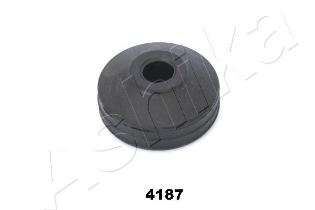 ASHIKA GOM-4187: Vedruamordi tugilaager Esisild
